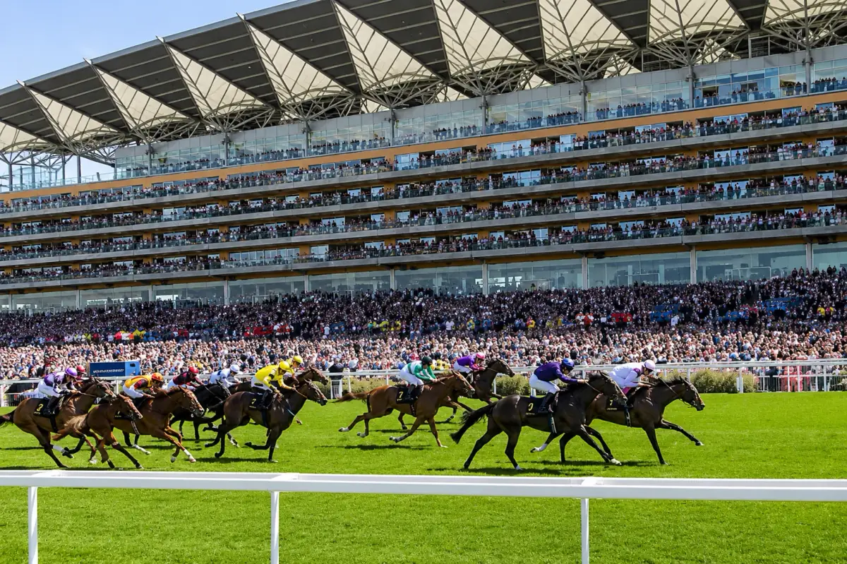 Elegant Royal Ascot race-day chauffeur experience